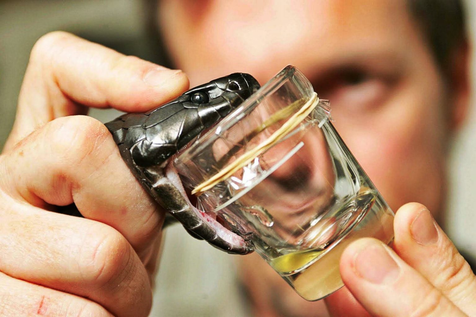 are-the-15-strangest-and-weirdest-careers-worth-the-money