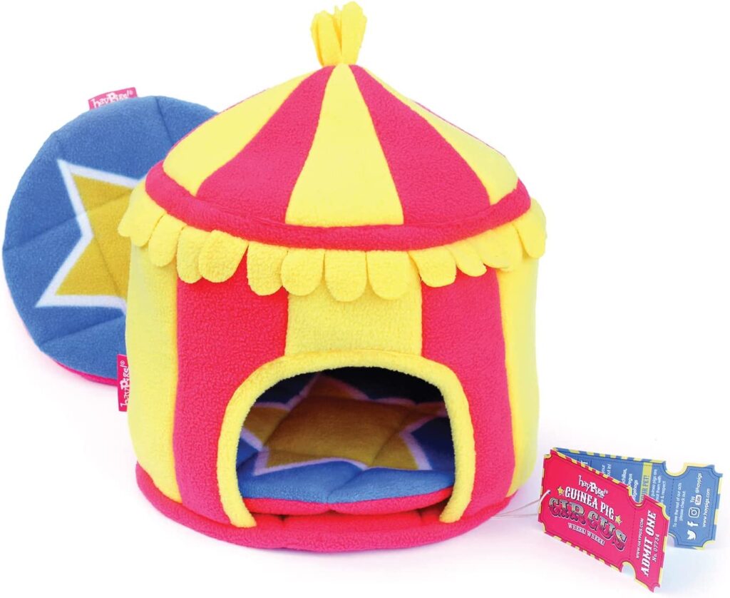 Hamster Heaven: 19 Weird Hamster Toys & Accessories He’ll Love | Stay Weird