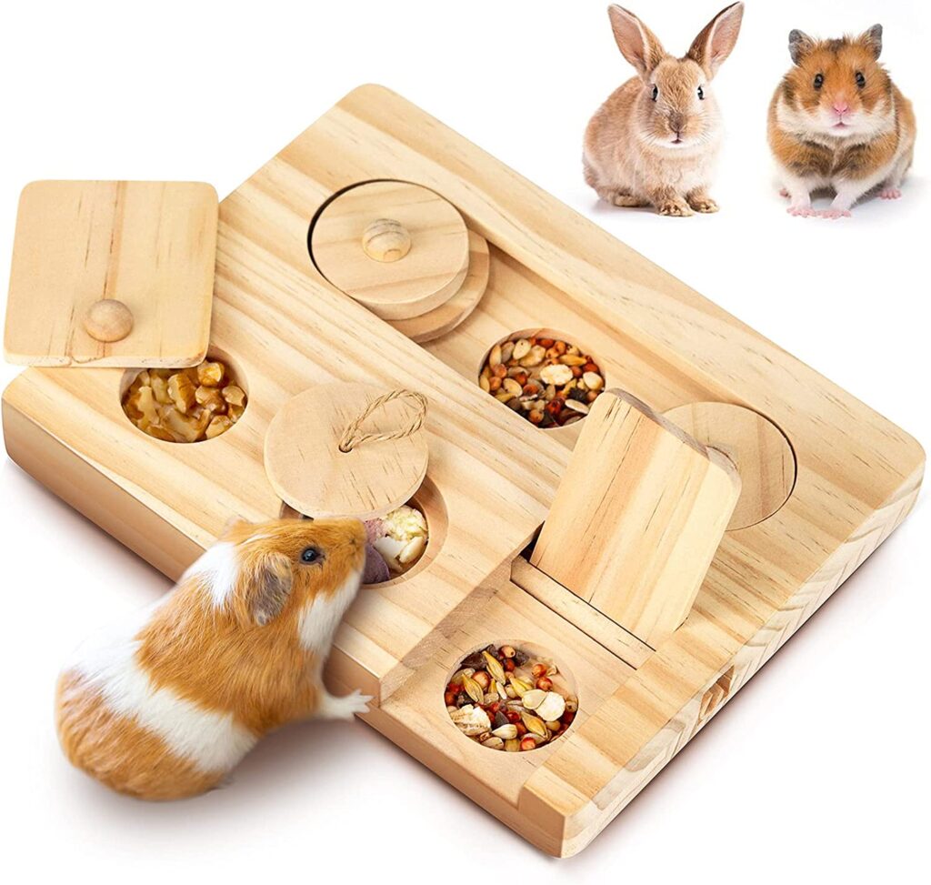 Image showcasing Hamster Heaven: 19 Weird Hamster Toys & Accessories He’ll Love | Stay Weird