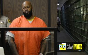 From Stardom To Jail Cells: 30 Celebrities Who Went To Prison | Stay Weird