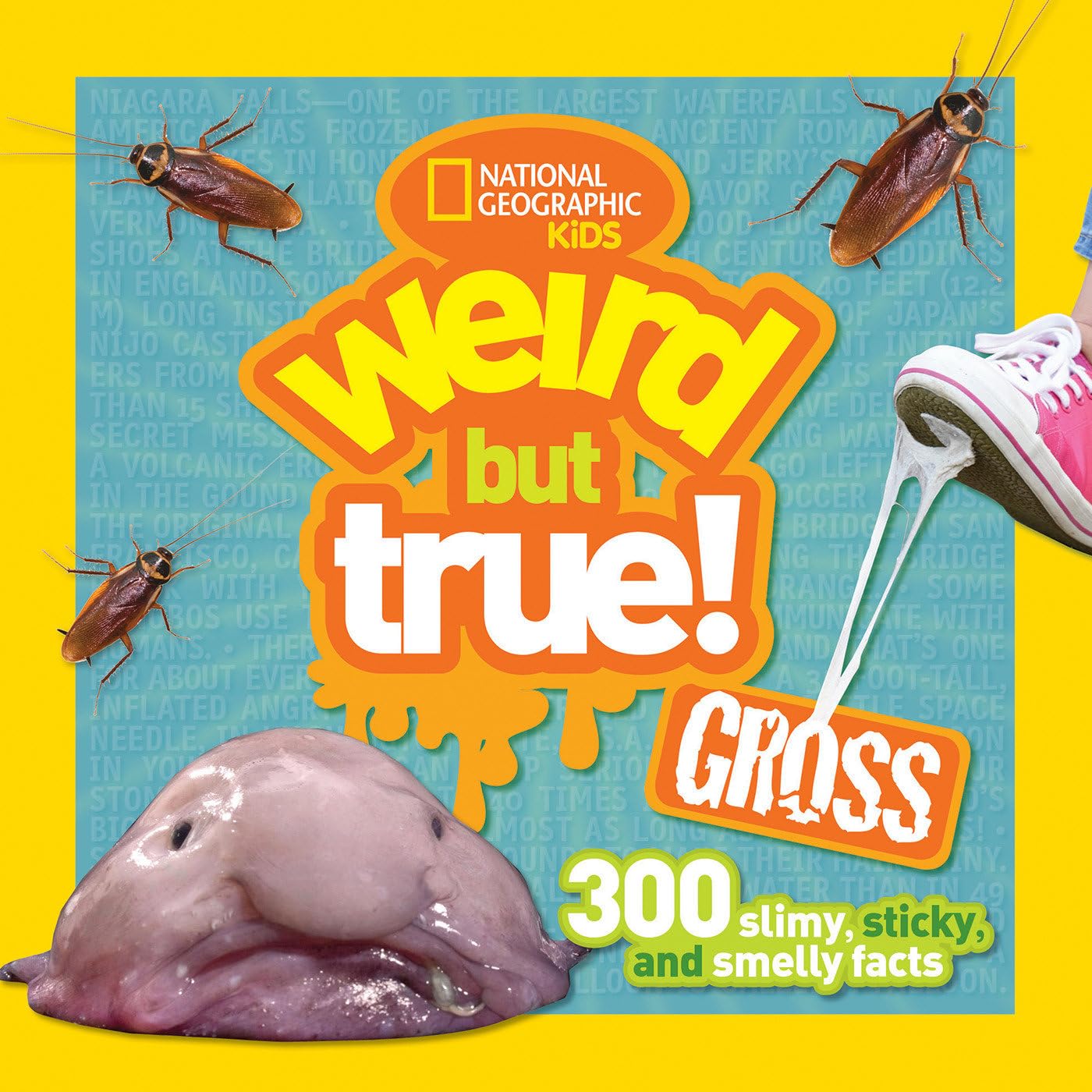 Weird But True Gross book national geographic Weird But True Gross book national geographic