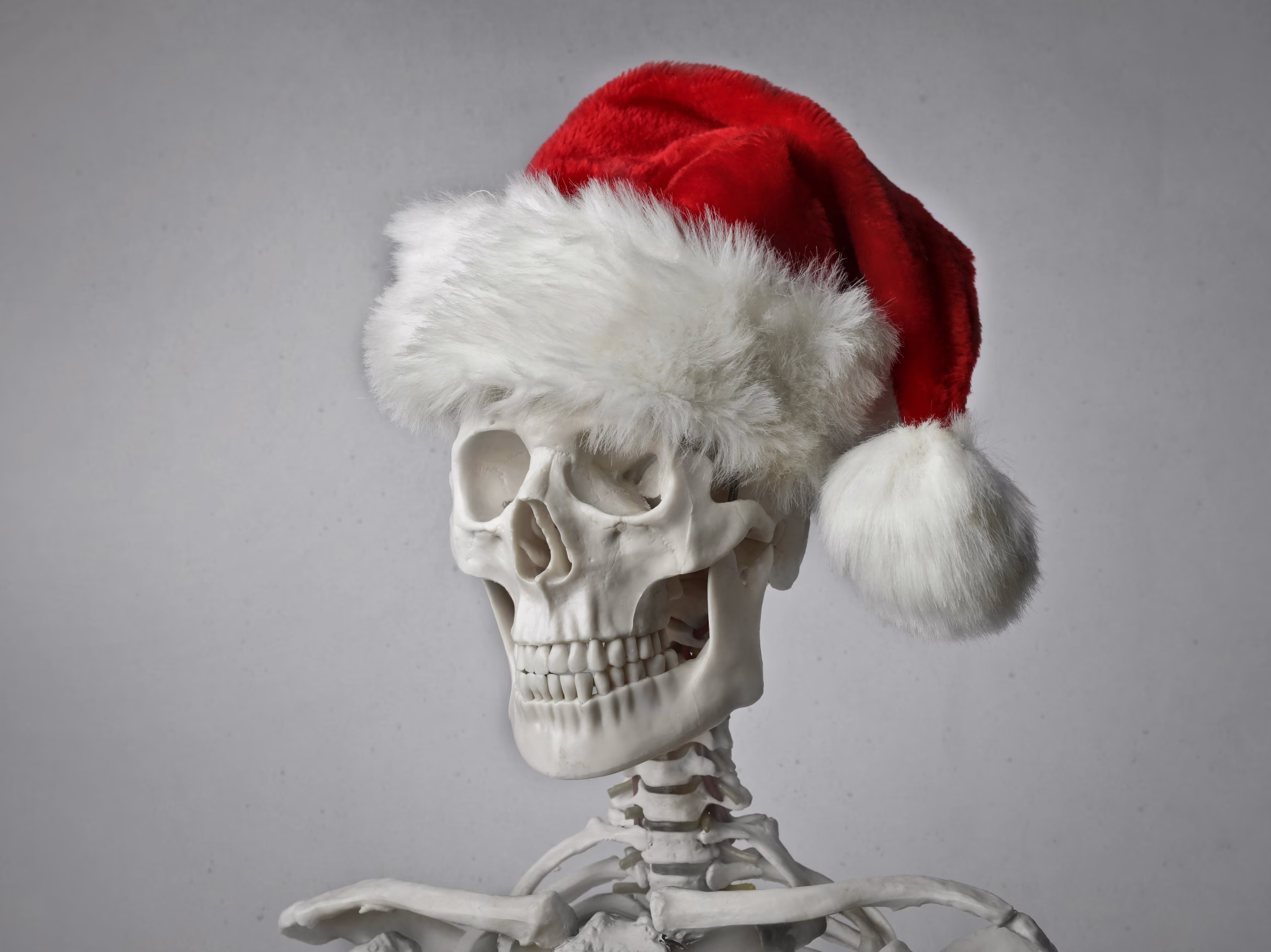 santa claus skeleton santa claus skeleton